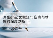 深夜emo文案短句伤感与情感的深度剖析