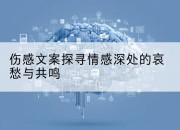 伤感文案探寻情感深处的哀愁与共鸣