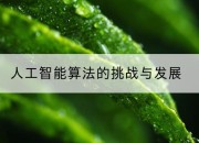 人工智能算法的挑战与发展