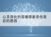 心灵深处的哀嚎探索悲伤背后的原因