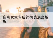 伤感文案背后的情感深度解析