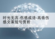 时光无言-伤感成诗-高级伤感文案短句赏析