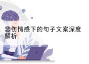 悲伤情感下的句子文案深度解析