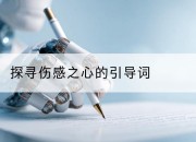 探寻伤感之心的引导词