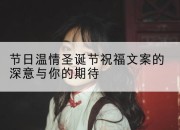 节日温情圣诞节祝福文案的深意与你的期待