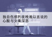 独自伤感的夜晚难以言说的心酸与文案深思