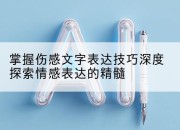 掌握伤感文字表达技巧深度探索情感表达的精髓