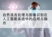 自然语言处理与图像识别在人工智能系统中的应用与融合