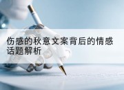 伤感的秋意文案背后的情感话题解析