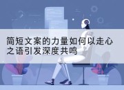 简短文案的力量如何以走心之语引发深度共鸣