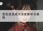 悲伤逆流成河深度解析与感悟