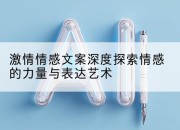 激情情感文案深度探索情感的力量与表达艺术