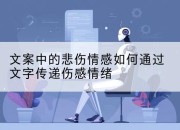 文案中的悲伤情感如何通过文字传递伤感情绪