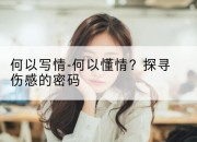 何以写情-何以懂情？探寻伤感的密码