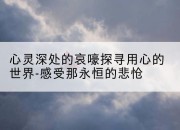心灵深处的哀嚎探寻用心的世界-感受那永恒的悲怆
