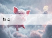 特点
