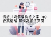 情感共鸣解读伤感文案中的寂寞情绪-解锁高颜值页面