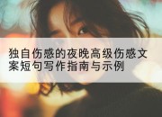 独自伤感的夜晚高级伤感文案短句写作指南与示例