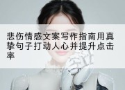 悲伤情感文案写作指南用真挚句子打动人心并提升点击率
